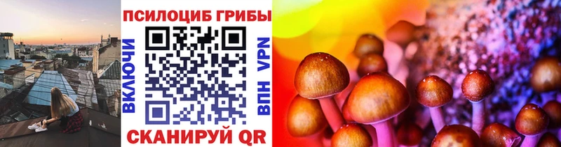 Купить где  Омутнинск  Псилоцибиновые грибы Psilocybe 